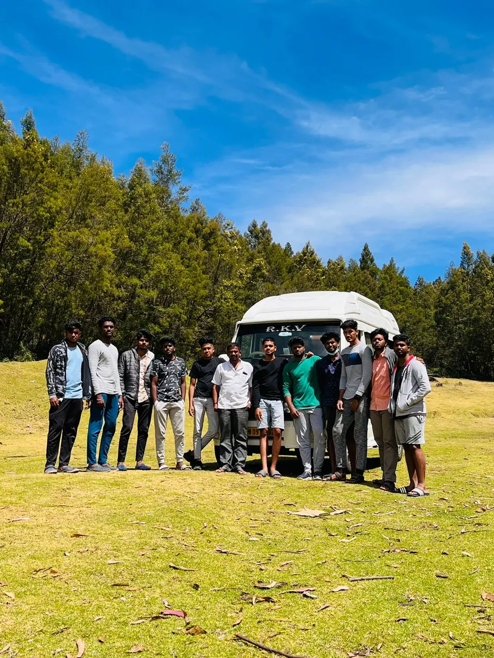 Young group posing on a grassy meadow beside a pine forest with their tempo traveller